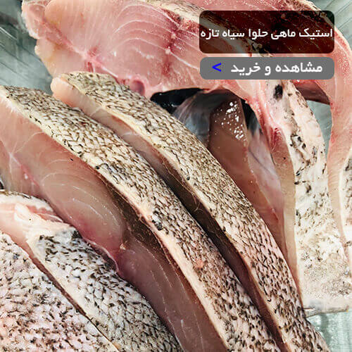 استیک ماهی حلوا سیاه تازه